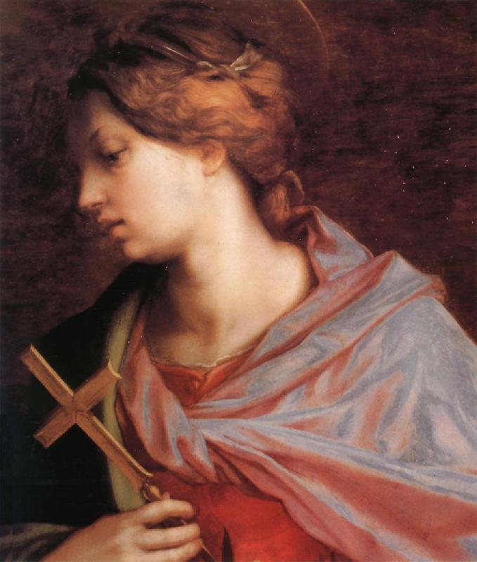 Andrea del Sarto Portrait of Altar France oil painting art